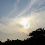 s_107-0733_img s_107-0733_img
